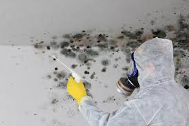 Best Mold Documentation for Insurance Claims  in Crivitz, WI